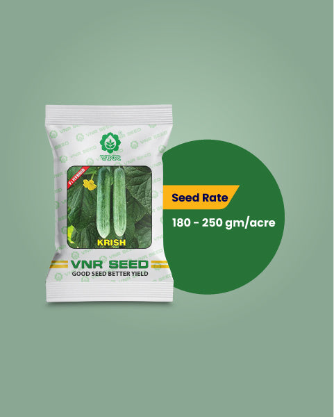 Krish F1 Hybrid Cucumber Seeds – High Yield