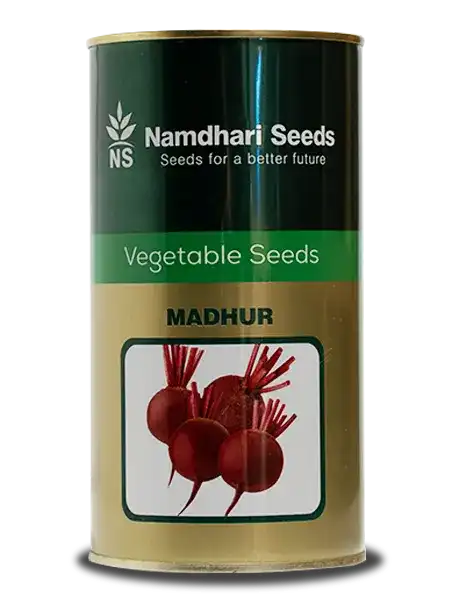 Namdhari Madhur Beetroot Seeds – Round, Dark Red Roots with High Yield